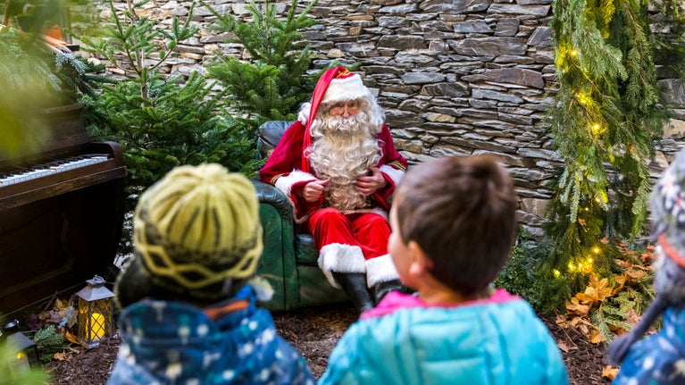 Children visiting Father Christmas in a stone grotto surrounded by trees
